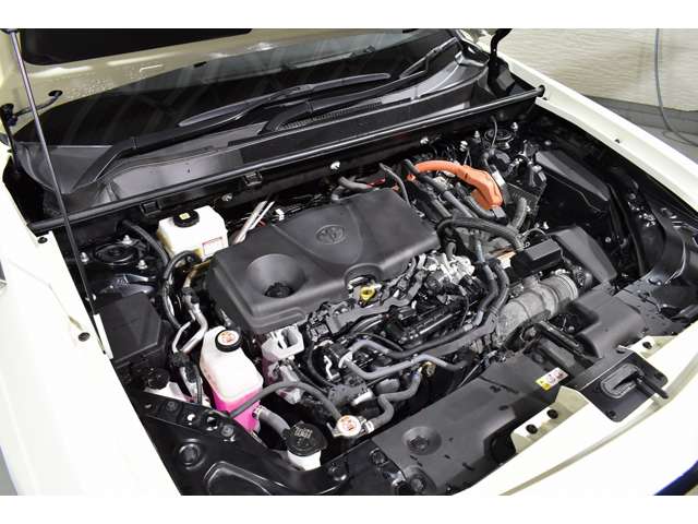 Mitsuoka バディ 10