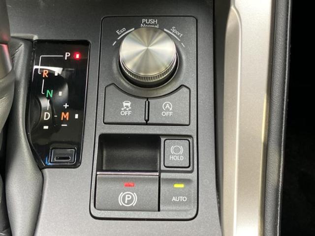 Lexus NX 12