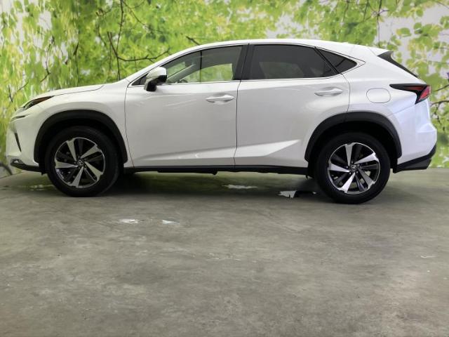 Lexus NX 5