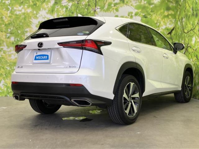 Lexus NX 6