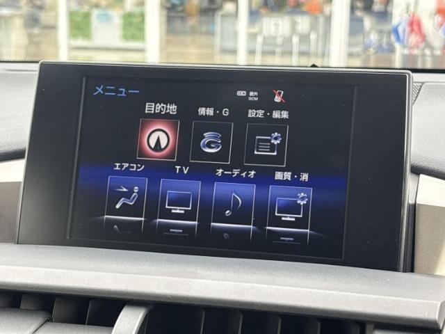 Lexus NX 11