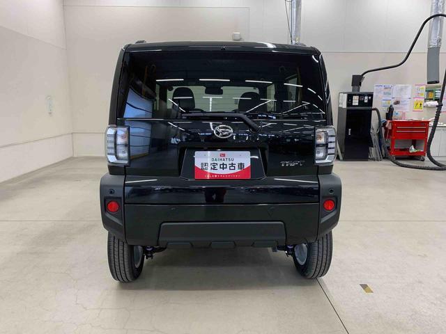 Daihatsu Taft 6