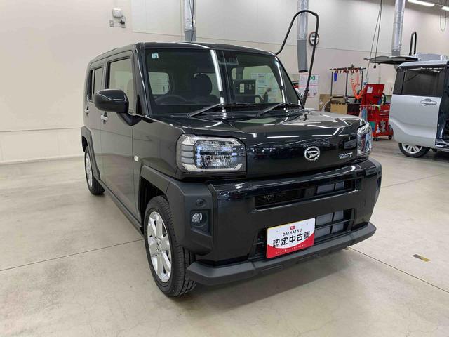 Daihatsu Taft 9