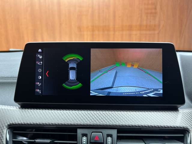 BMW X2 10
