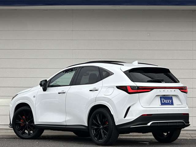 Lexus NX 11