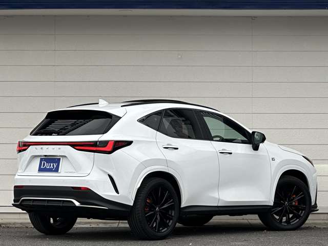 Lexus NX 12