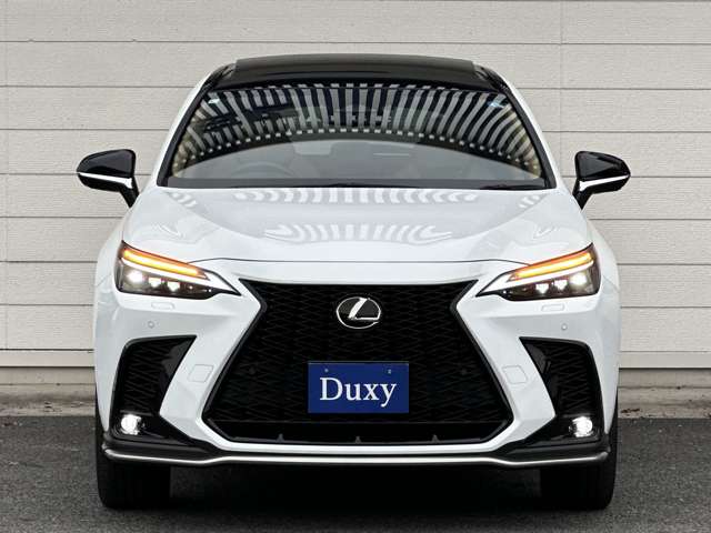 Lexus NX 5