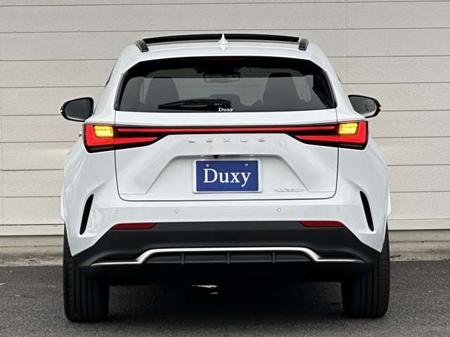 Lexus NX 6