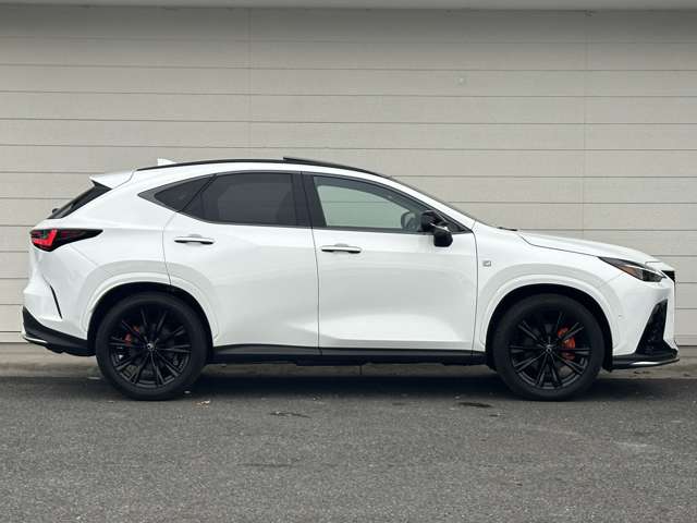 Lexus NX 8