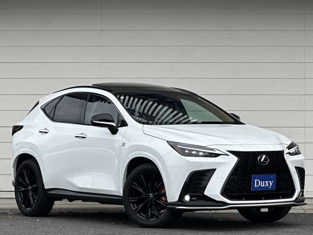 Lexus NX 10