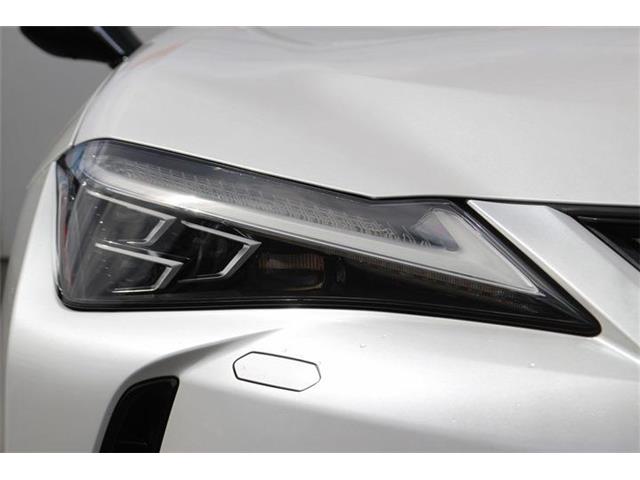 Lexus UX 12