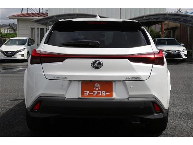 Lexus UX 10