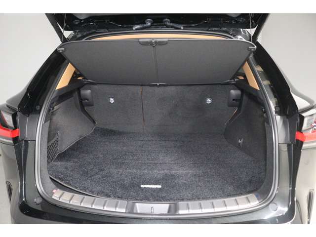 Lexus NX 11
