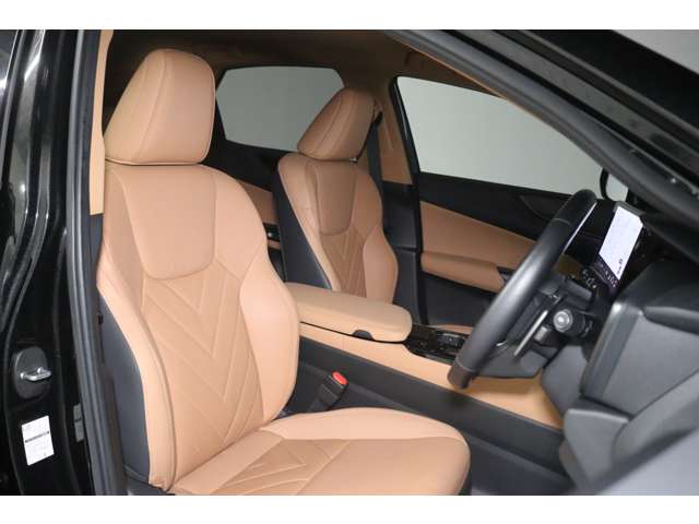 Lexus NX 3