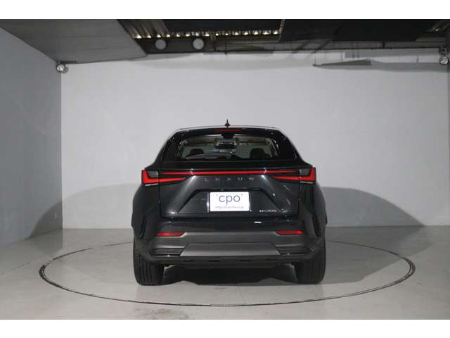 Lexus NX 6