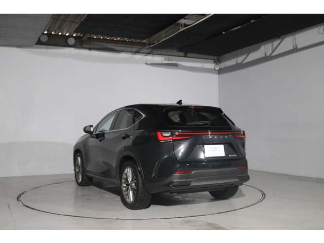Lexus NX 7