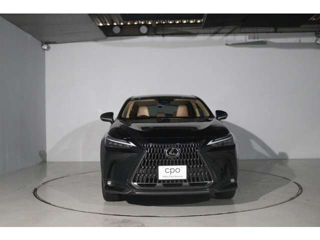 Lexus NX 8