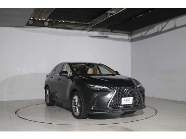 Lexus NX 9