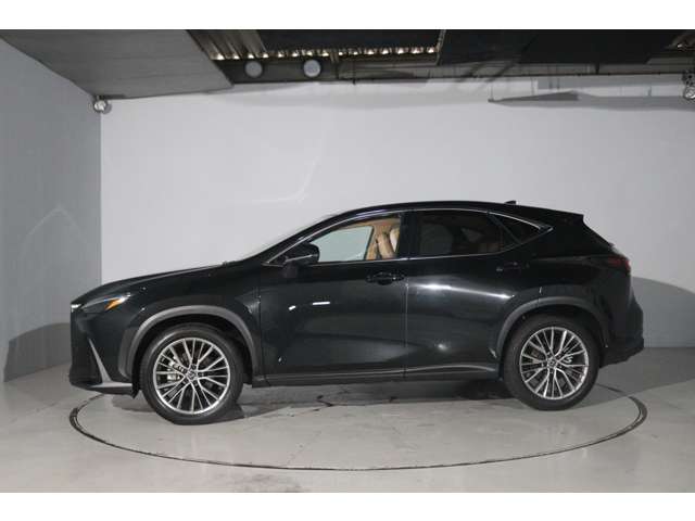 Lexus NX 10