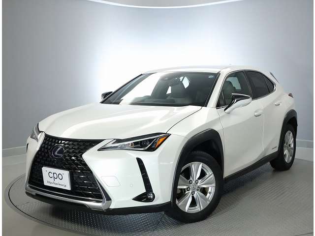 Lexus UX 9