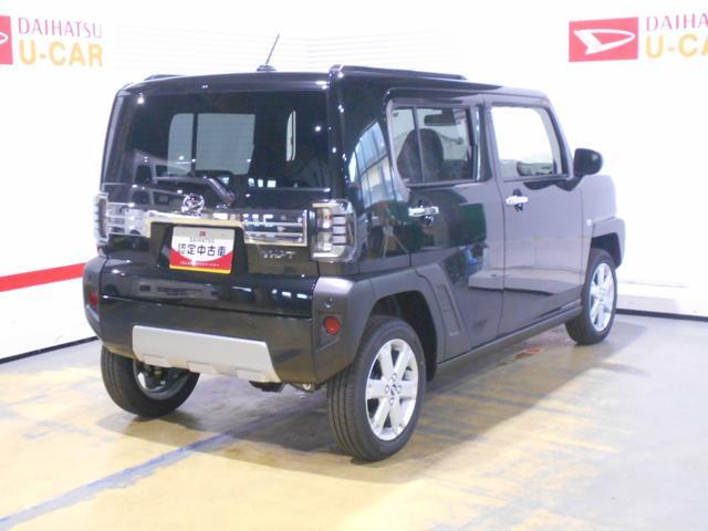 Daihatsu Taft 8