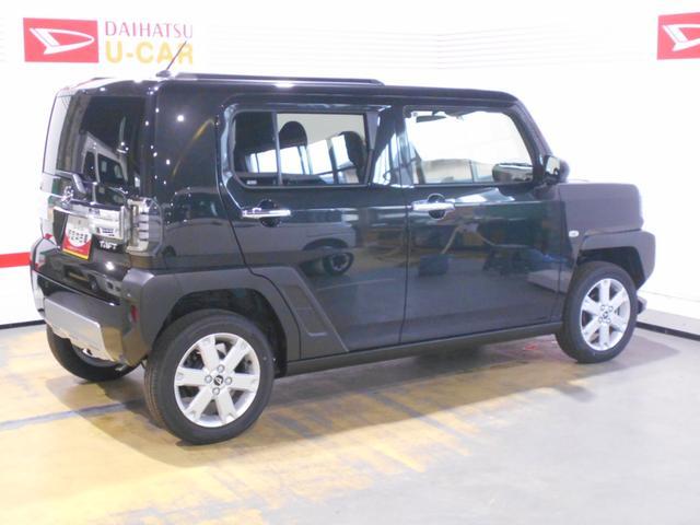 Daihatsu Taft 9