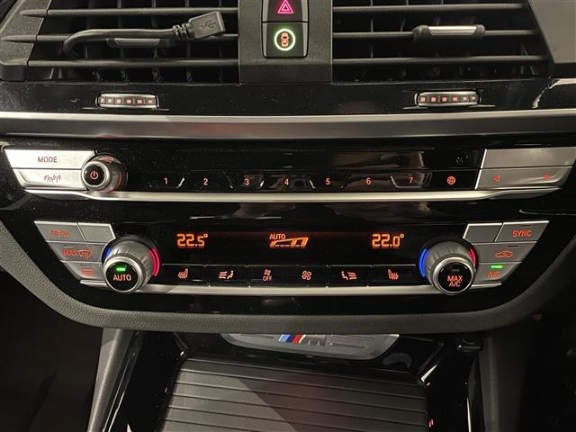 BMW X3 10