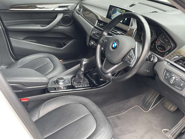 BMW X1 10
