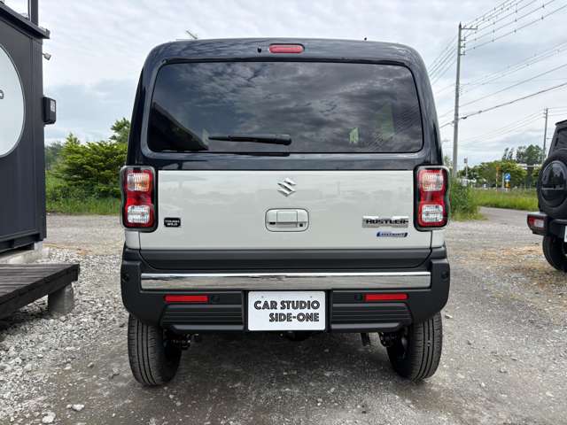 Suzuki Hustler 11