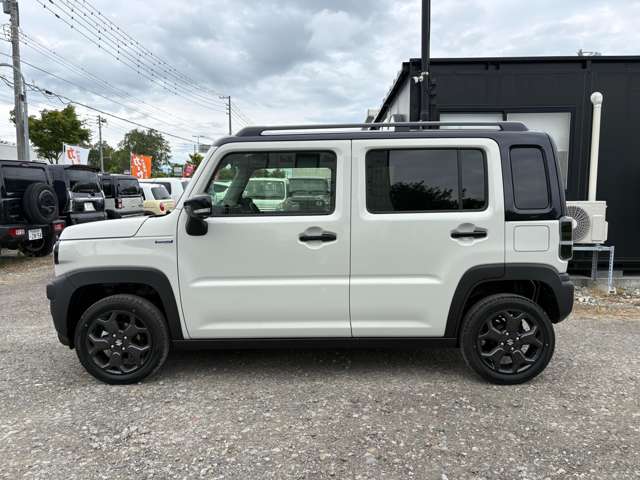 Suzuki Hustler 9