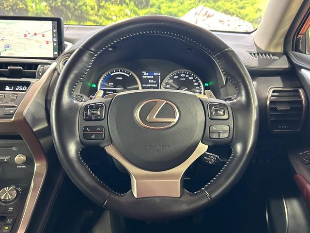 Lexus NX 11