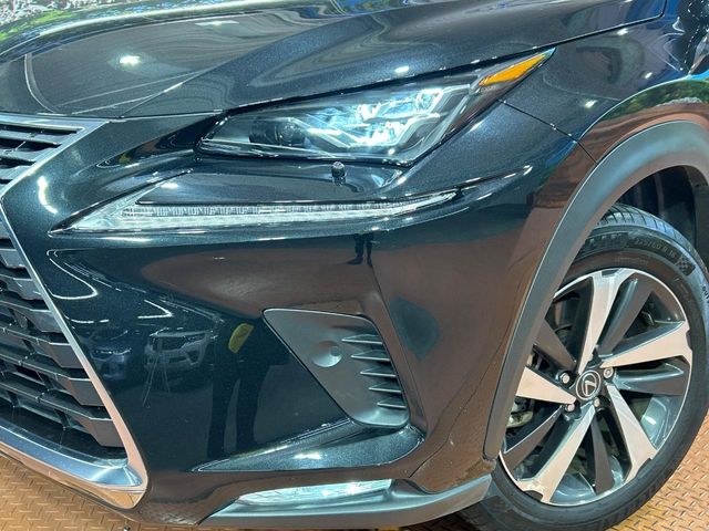 Lexus NX 12