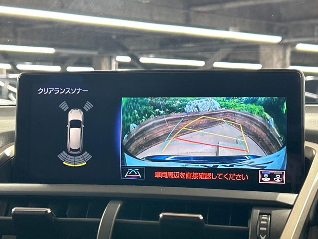 Lexus NX 4
