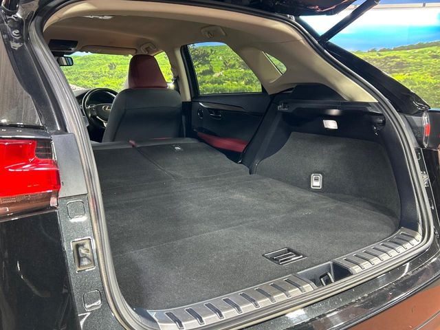 Lexus NX 10