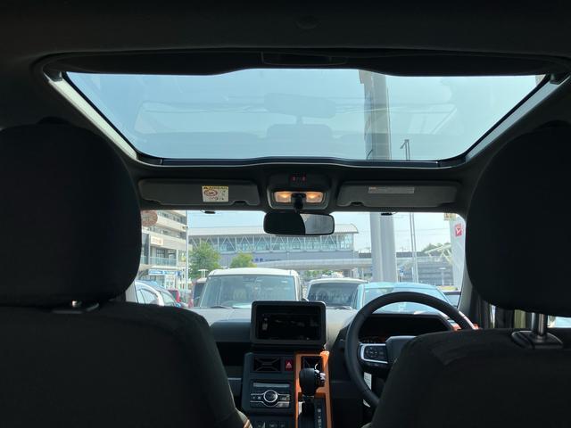 Daihatsu Taft 11