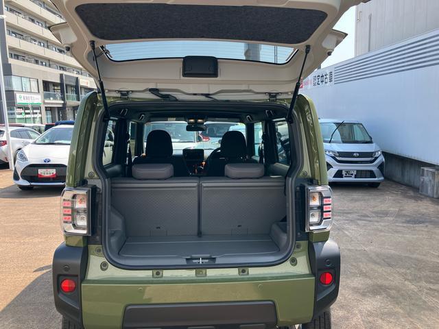 Daihatsu Taft 8