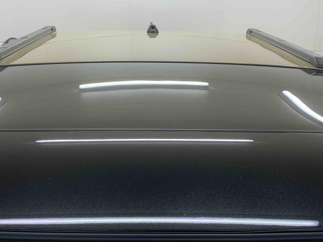 Daihatsu Taft 6