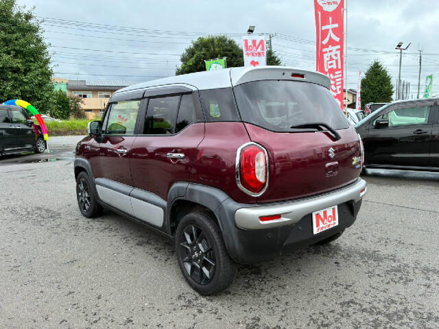 Suzuki XBEE 7