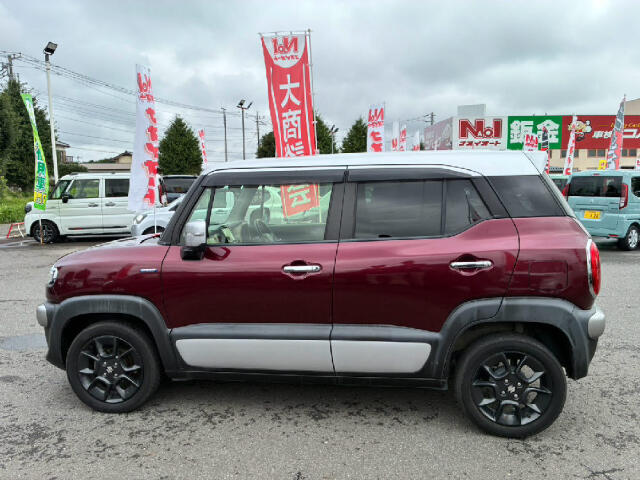 Suzuki XBEE 8