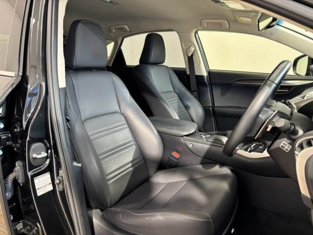 Lexus NX 11