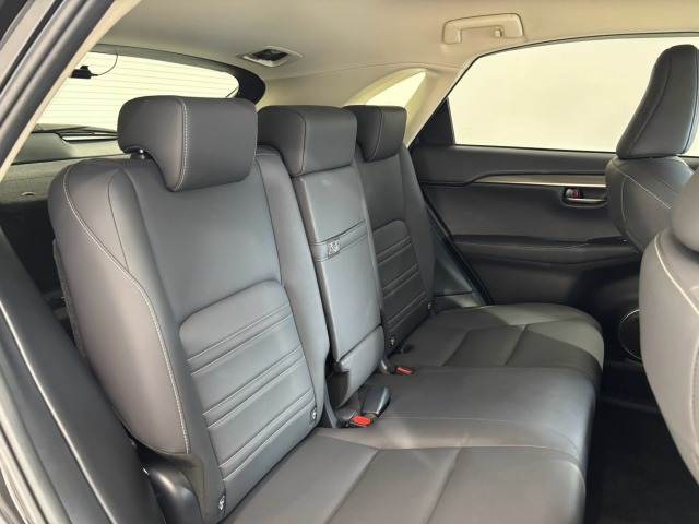 Lexus NX 12
