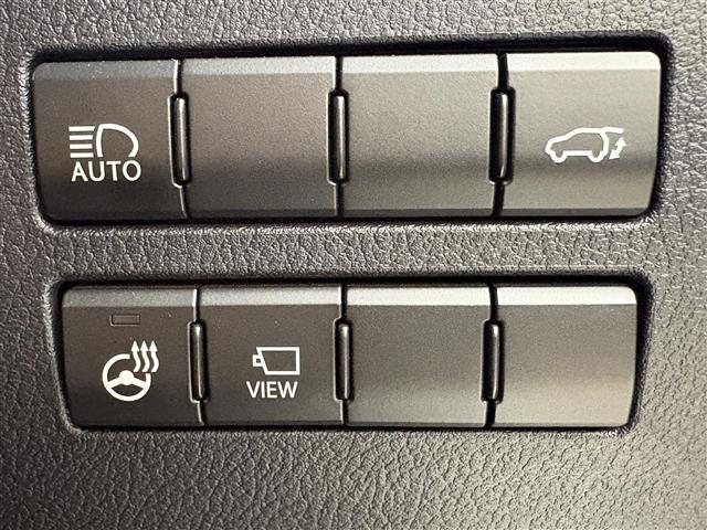 Lexus NX 12
