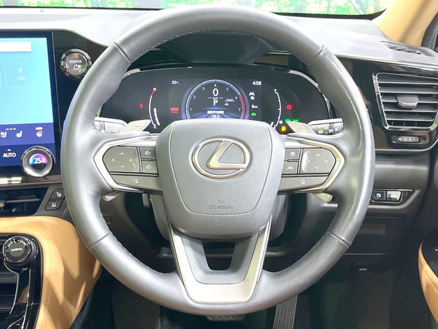Lexus NX 12
