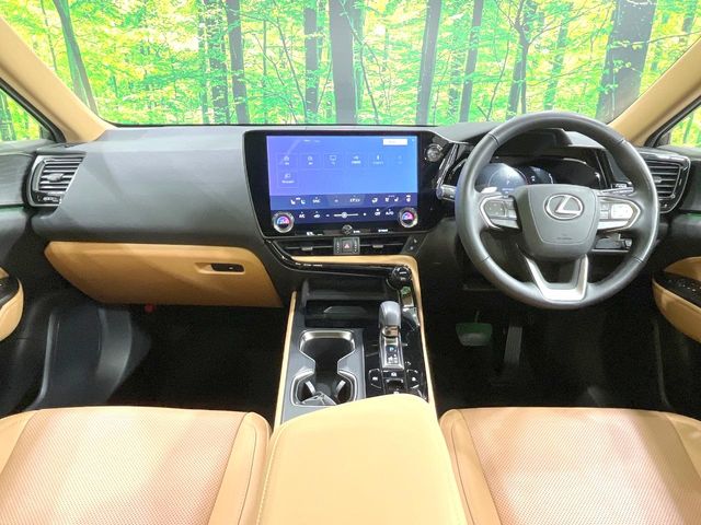 Lexus NX 2