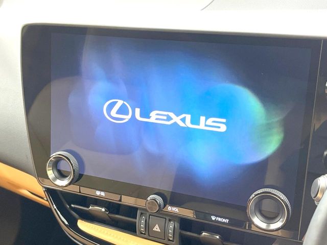 Lexus NX 4