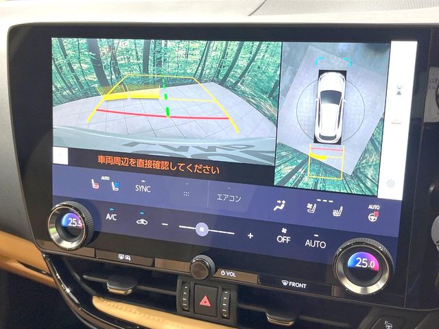 Lexus NX 5