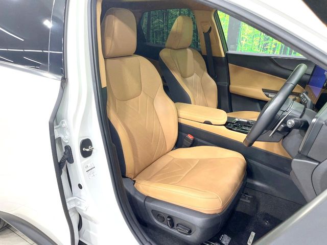 Lexus NX 9