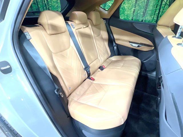 Lexus NX 10