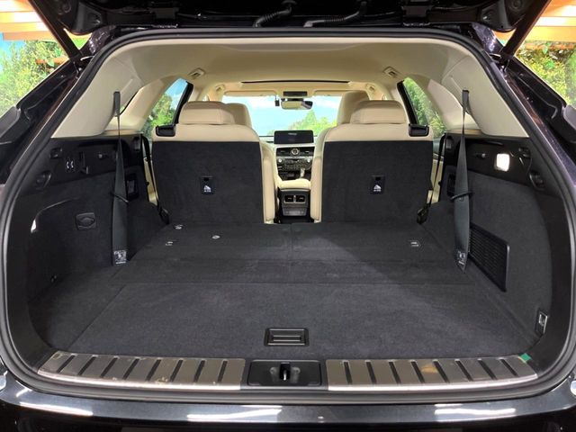 Lexus RX 11