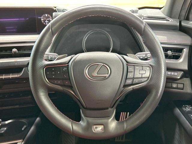 Lexus UX 11